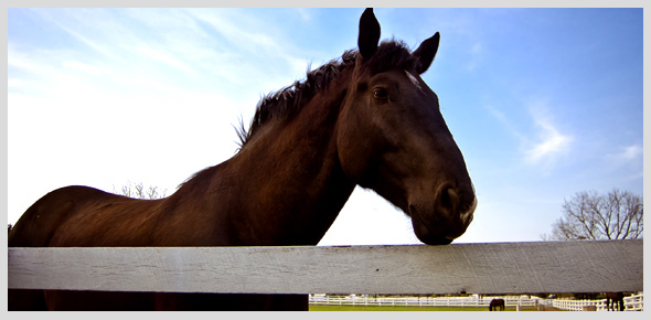Actividades en granada