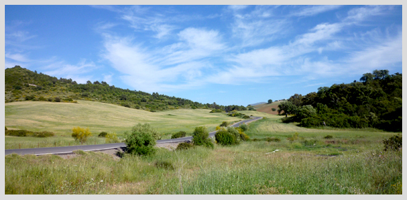 Actividades en granada
